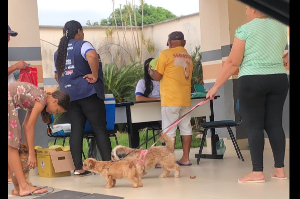 DIA D DE VACINAÇÃO ANTIRRÁBICA