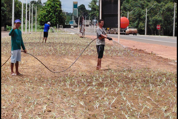 REVITALIZAÇÃO DE CANTEIROS NA BR 010